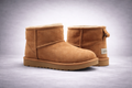 Ugs Supplier